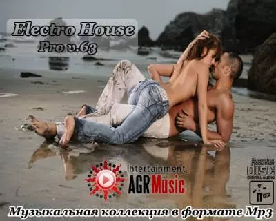 Electro House Pro /v-63/ Electro House Pro /v-63/ торрент