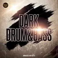 Dark Drum & Bass музыку скачать Dark Drum & Bass музыку торрент