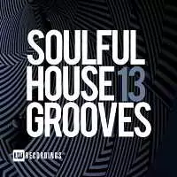 Soulful House Grooves Vol. 13 Soulful House Grooves Vol. 13 торрент
